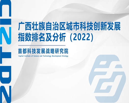 一级操逼视频吗【成果发布】广西壮族自治区城市科技创新发展指数排名及分析（2022）